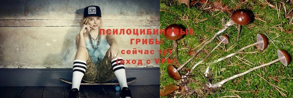 дурь Армянск